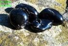 Onyx