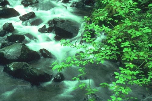 Wasser Reinigung