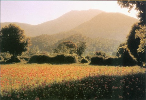 sonnenbad